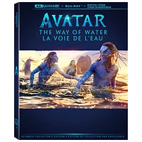 Avatar: The Way Of Water (English) (4K Ultra HD) (2022)