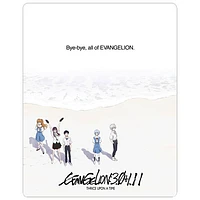 Evangelion: 3.0+1.11 Thrice Upon A Time (SteelBook) (Blu-ray Combo)