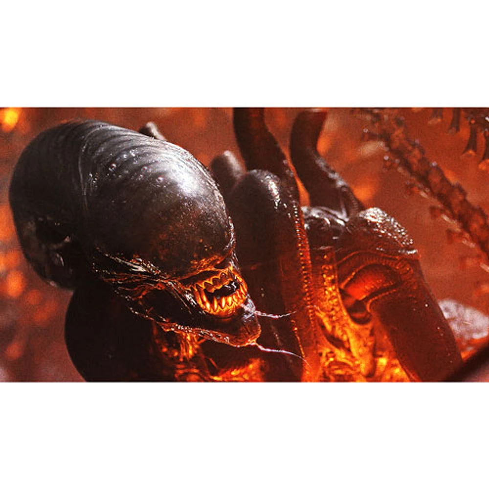 Alien: Romulus (Ultra HD 4K) (combo Blu-ray)