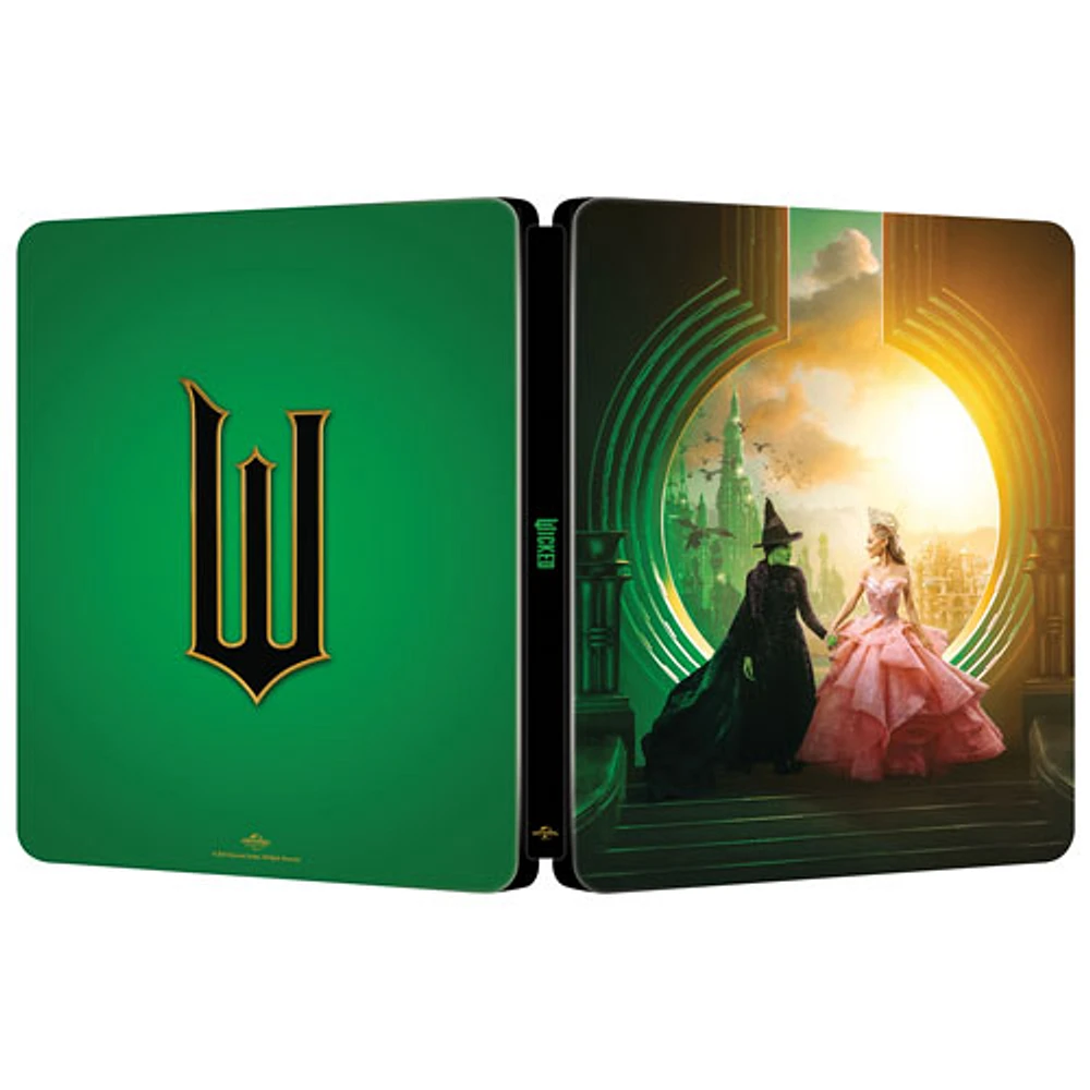 Wicked (édition limitée) (SteelBook) (Ultra HD 4K) (combo Blu-ray)