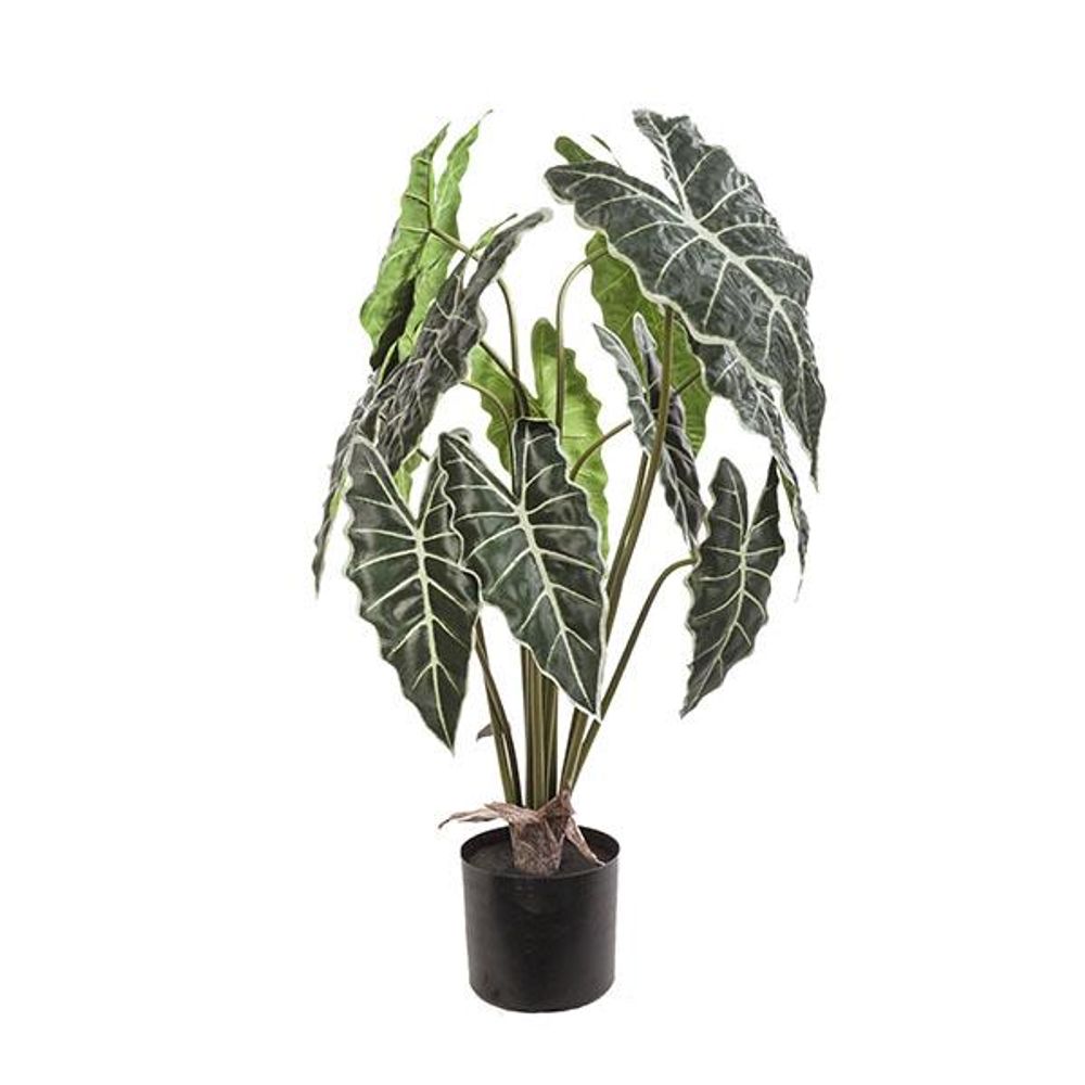 Planta syngonium 81 cm