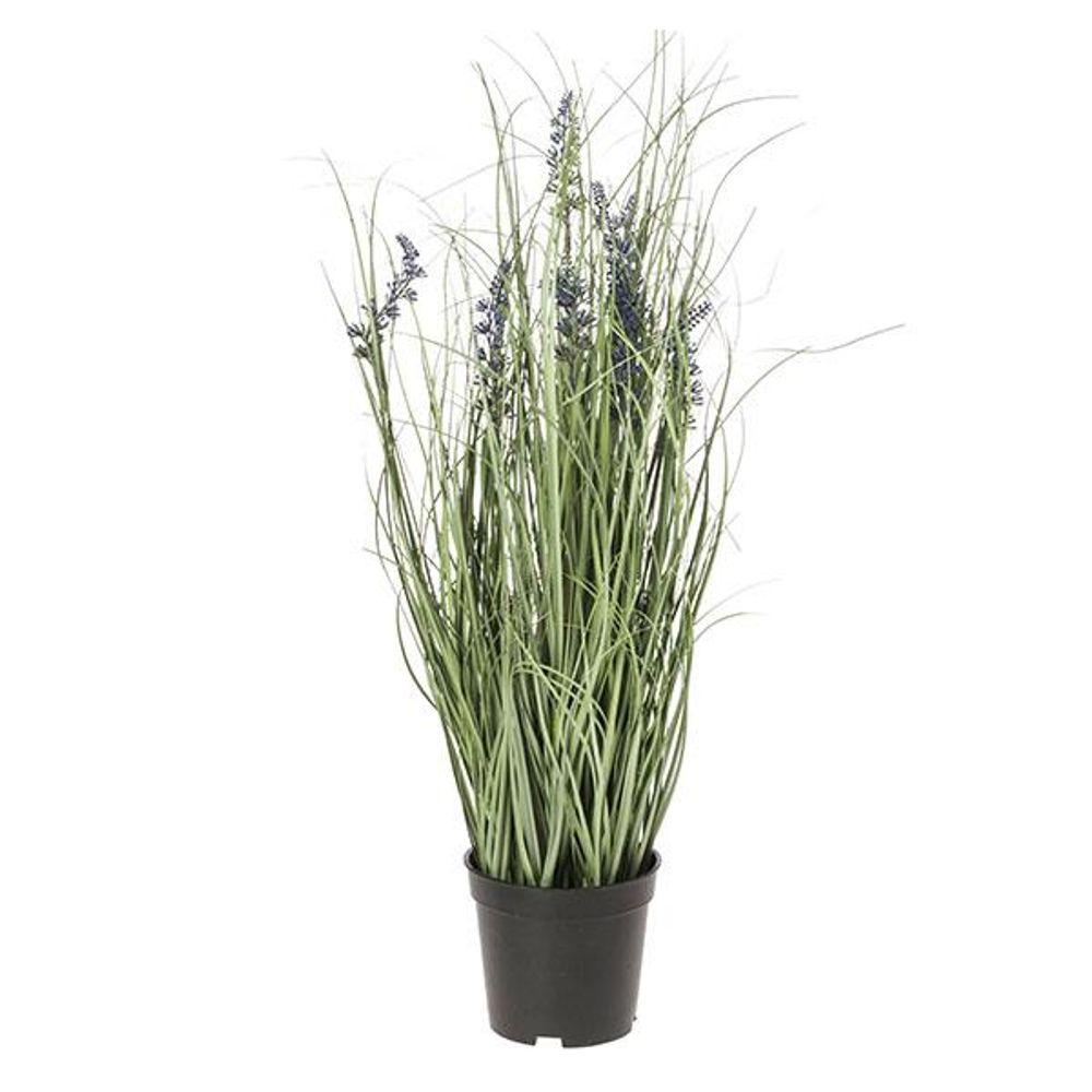 Maceta lavanda 60 cm