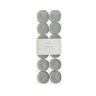 Pack 24 velas té White Lily