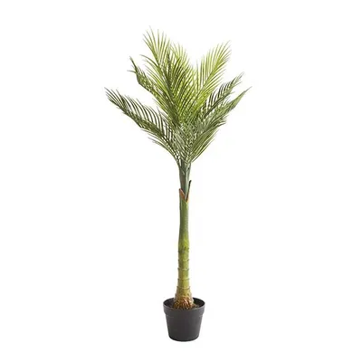 Planta palm con maceta