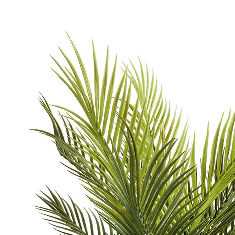 Planta palm con maceta