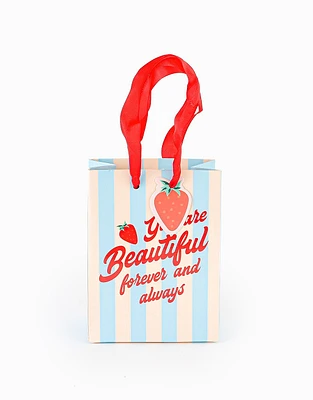 Bolsa de regalo