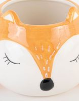 Taza foxy