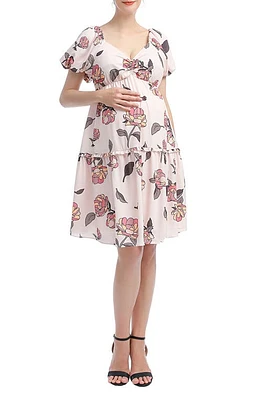 Kimi and Kai Anouk Floral A-Line Maternity/Nursing Dress Multicolored at Nordstrom,