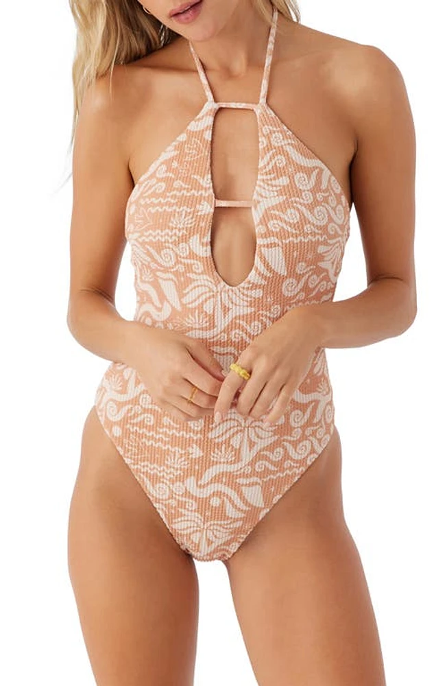 O'Neill Roam Slow Santa Cruz One-Piece Swimsuit Toasted Nut at Nordstrom,