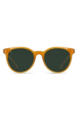 RAEN Norie 53mm Cat Eye Sunglasses in Honey/Bottle Green at Nordstrom