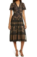 Tadashi Shoji Lace & Mesh Midi Cocktail Dress at Nordstrom,