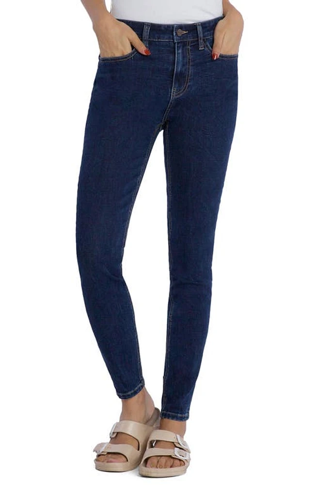 HINT OF BLU Brilliant High Waist Skinny Jeans Voyage at Nordstrom,