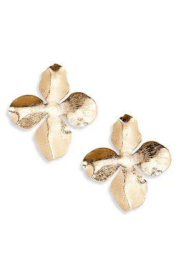 Nordstrom Etched Petal Stud Earrings in Gold at Nordstrom