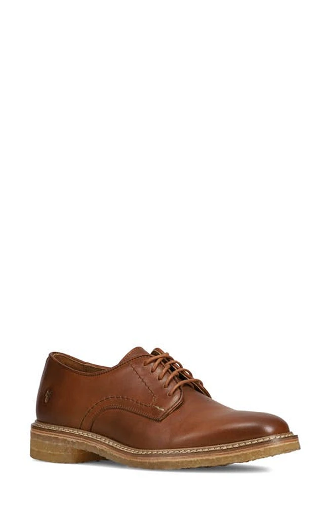 Frye Carter Derby Bark at Nordstrom,