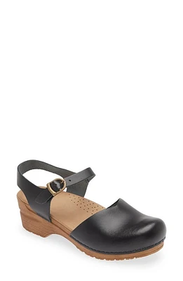 Sanita Sansi Clog at Nordstrom,