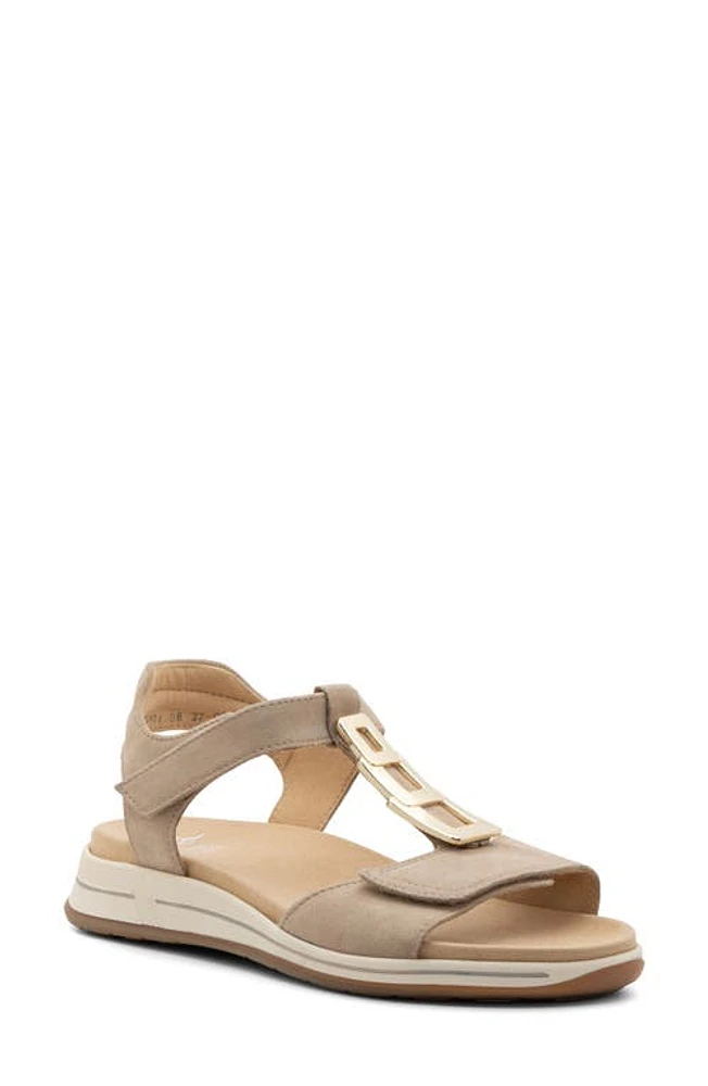 ara Oregon 2.0 T-Strap Sandal at Nordstrom,