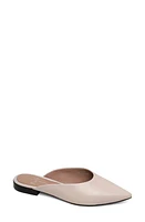 Linea Paolo Ayla Pointy Toe Mule in Pale Pink at Nordstrom, Size 11