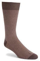 Canali Micropattern Dress Socks Purple at Nordstrom,