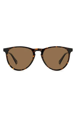 Polaroid 54mm Polarized Round Sunglasses in Havana/Bronze Polarized at Nordstrom