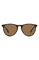 Polaroid 54mm Polarized Round Sunglasses in Havana/Bronze Polarized at Nordstrom