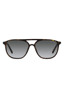 Armani Exchange 56mm Gradient Pilot Sunglasses in Havana at Nordstrom