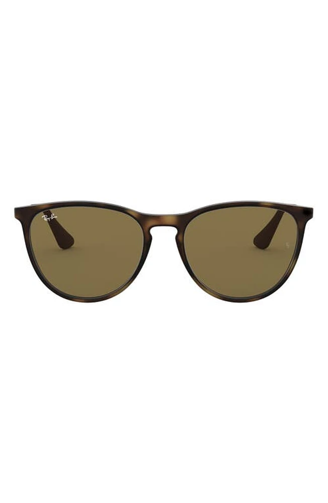 Ray-Ban Junior 50mm Round Sunglasses in Havana/Brown Solid at Nordstrom