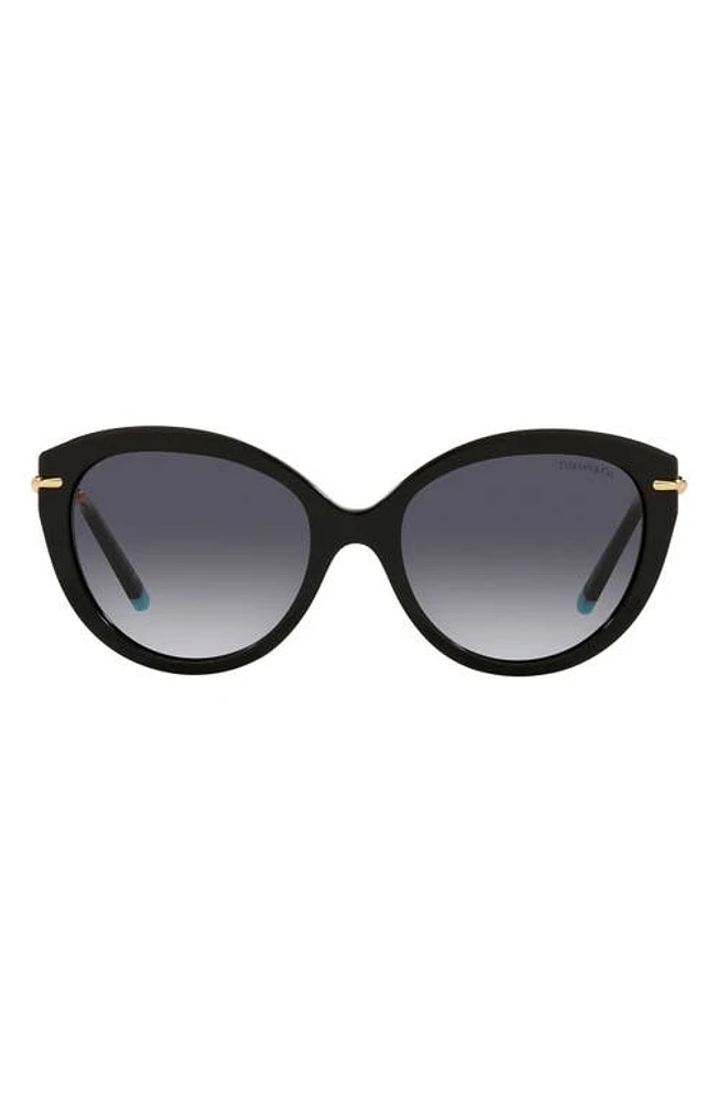 Tiffany & Co. 55mm Cat Eye Sunglasses in Black/Grey Gradient at Nordstrom