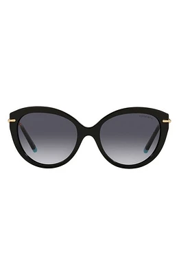 Tiffany & Co. 55mm Cat Eye Sunglasses in Black/Grey Gradient at Nordstrom