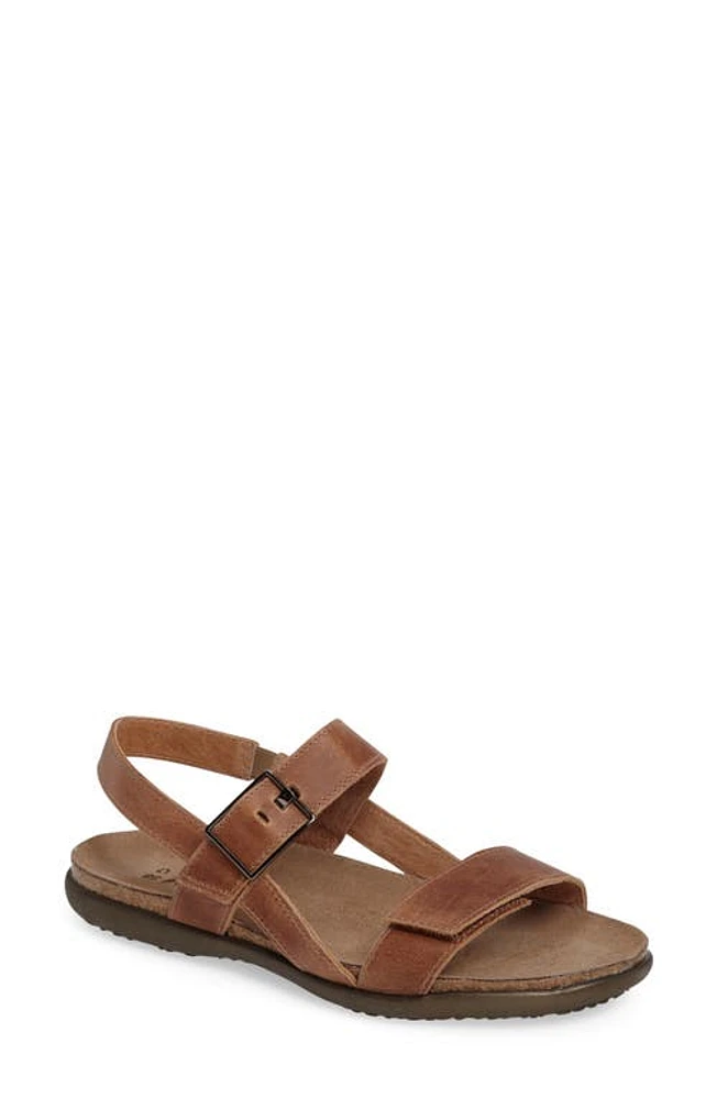 Naot Norah Sandal Leather at Nordstrom,