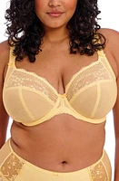 Elomi Charley Full Figure Underwire Convertible Plunge Bra at Nordstrom,