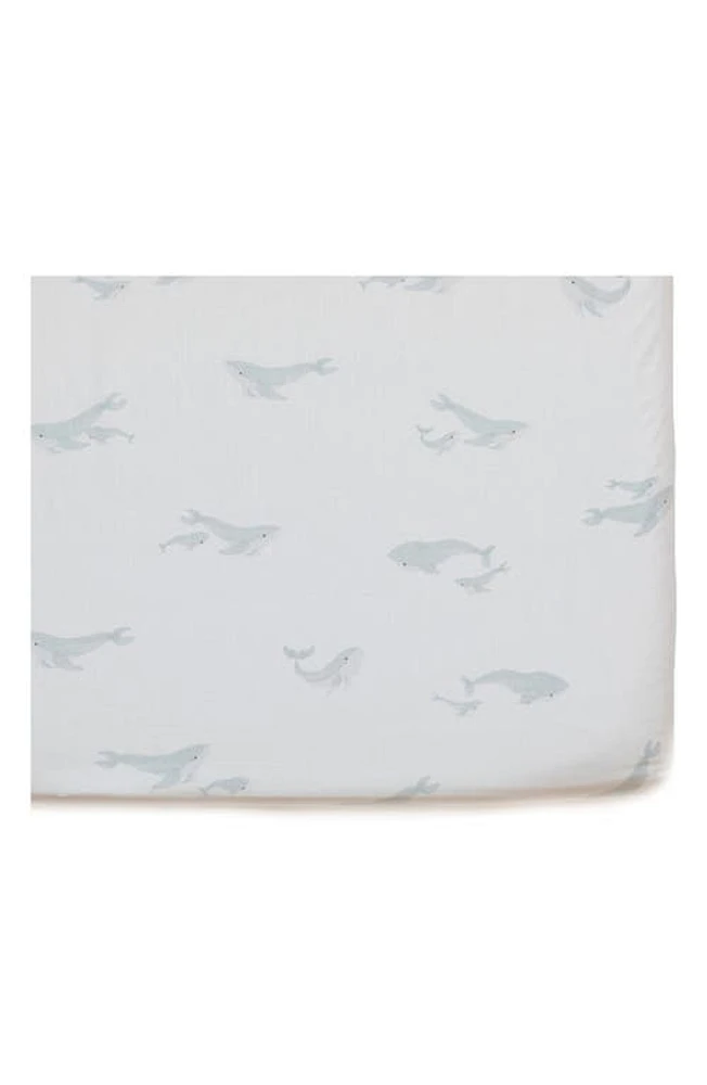 Pehr Follow Me Organic Cotton Crib Sheet in Follow Me Whale at Nordstrom