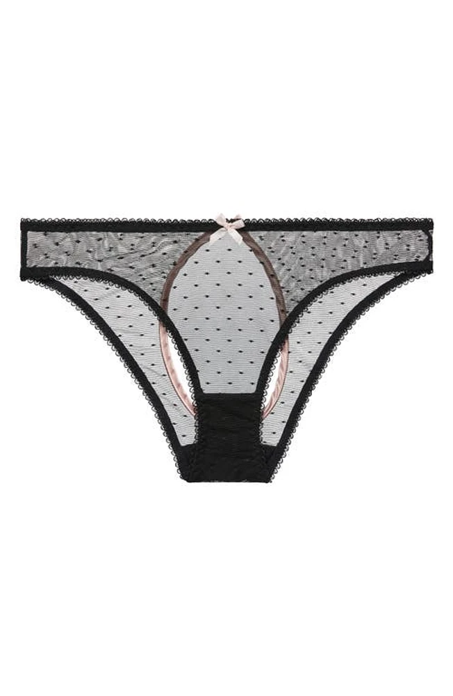 Von Follies By Dita Teese Coquine Open Back Bikini Briefs Black at Nordstrom,