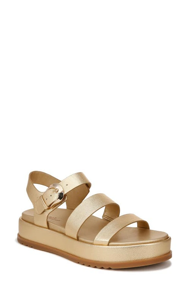 27 EDIT Naturalizer Zizi Platform Sandal Dark Gold at Nordstrom,