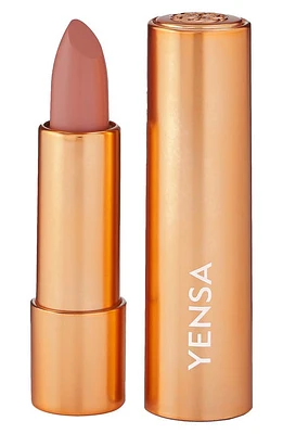 YENSA Super 8 Vibrant Silk Lipstick in Soulful at Nordstrom