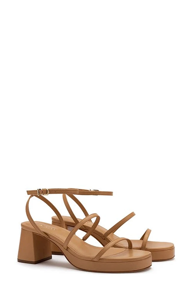 Larroudé Gio Block Heel Strappy Sandal Tan at Nordstrom,