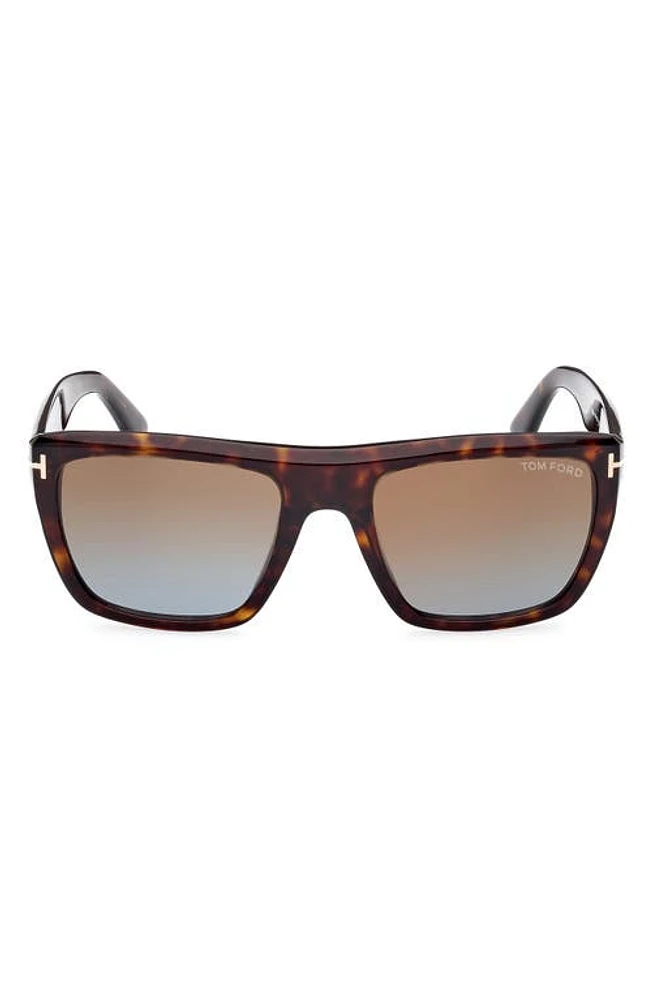 TOM FORD Alberto 55mm Square Sunglasses in Shiny Havana /Brown Blue at Nordstrom