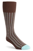 EDWARD ARMAH Neat Pima Cotton Blend Dress Socks in Brown at Nordstrom