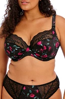 Elomi Lucie Full Figure Underwire Plunge Bra at Nordstrom,