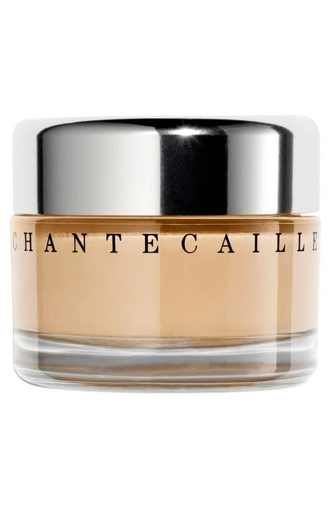 Chantecaille Future Skin Gel Foundation in Camomile at Nordstrom