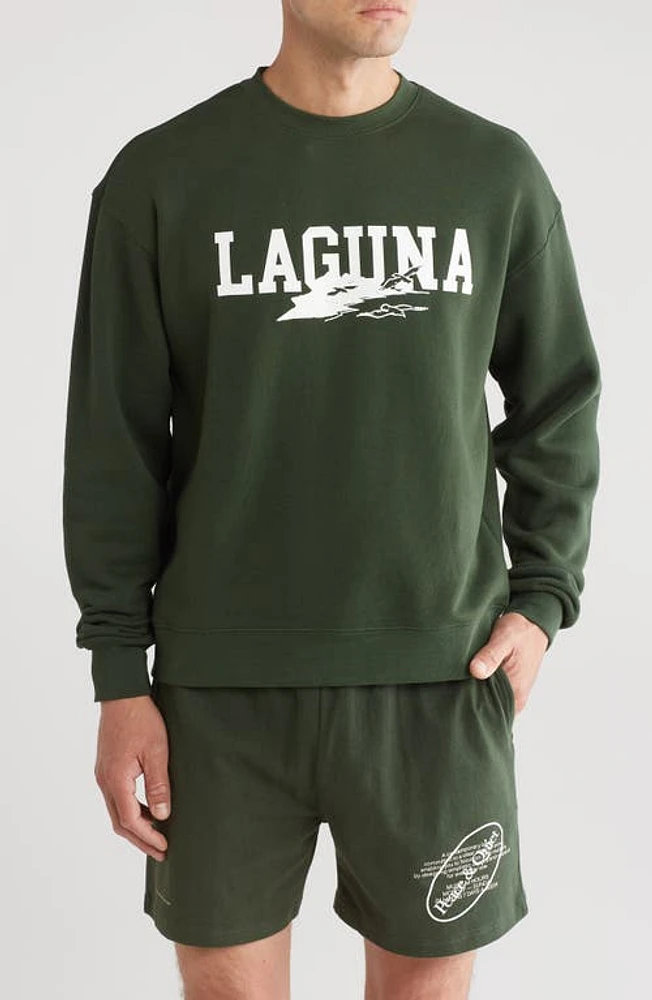 Museum of Peace & Quiet Laguna Crewneck Cotton Graphic Sweatshirt Forest at Nordstrom,