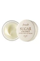 Fresh Lip Sugar Hydrating Lip Balm in Coconut at Nordstrom