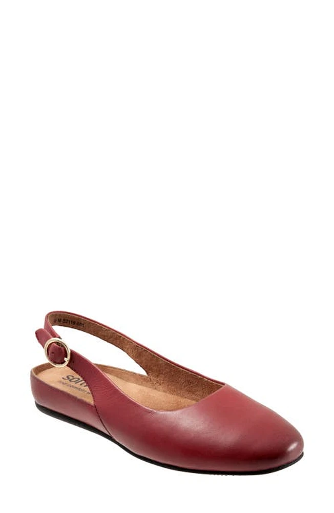 SoftWalk Sandy Slingback Flat Sandal Dark Red Leather at Nordstrom,