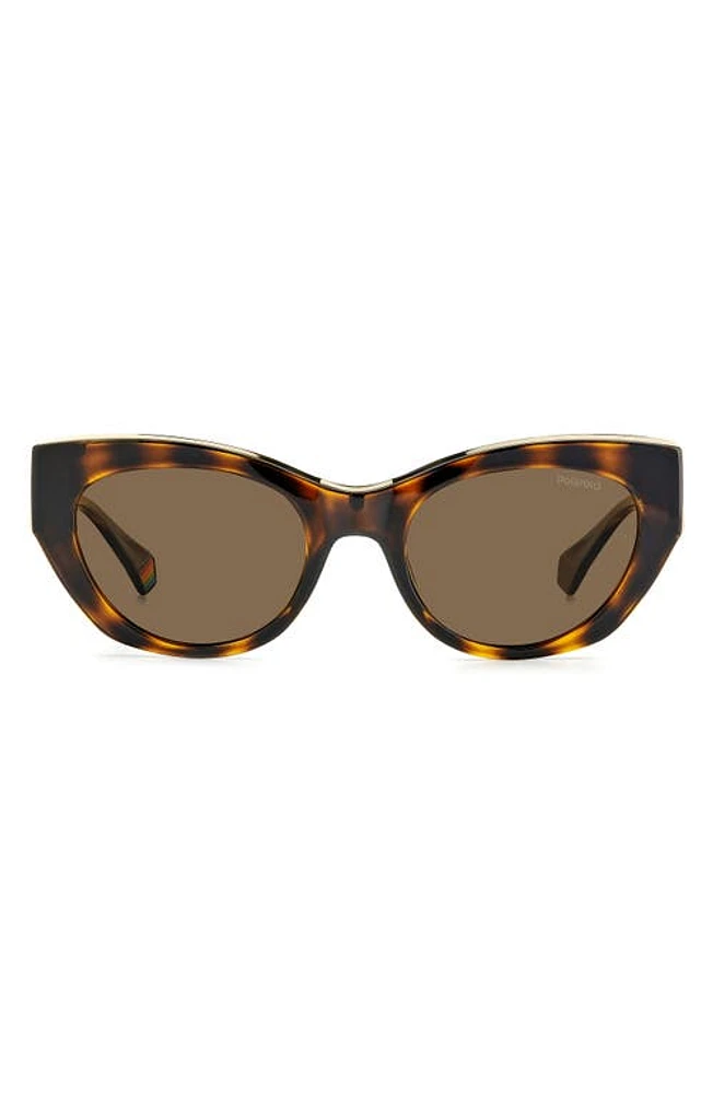 Polaroid 50mm Polarized Cat Eye Sunglasses in Havana/Bronze Polarized at Nordstrom