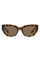 Polaroid 50mm Polarized Cat Eye Sunglasses in Havana/Bronze Polarized at Nordstrom