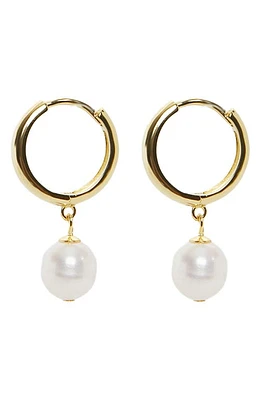 Argento Vivo Sterling Silver Freshwater Pearl Drop Huggie Hoop Earrings in Gold at Nordstrom