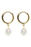 Argento Vivo Sterling Silver Freshwater Pearl Drop Huggie Hoop Earrings in Gold at Nordstrom