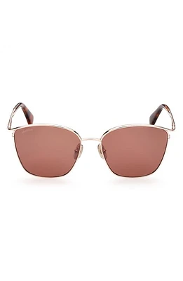 Max Mara 55mm Aviator Sunglasses in Red Havana /Brown at Nordstrom