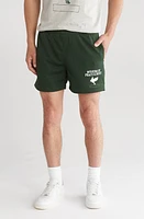 Museum of Peace & Quiet P. E. Mesh Shorts at Nordstrom,