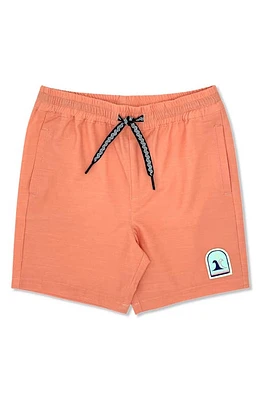 Feather 4 Arrow Kids' Seafarer Hybrid Shorts Pap at Nordstrom,