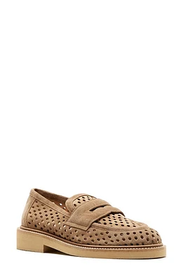 La Canadienne Karter Penny Loafer Biscotti Suede at Nordstrom,